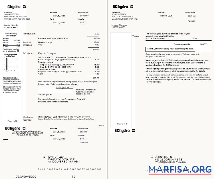 Blank Canada Chydro utility bill template in Word and PDF formtas, 2 pages